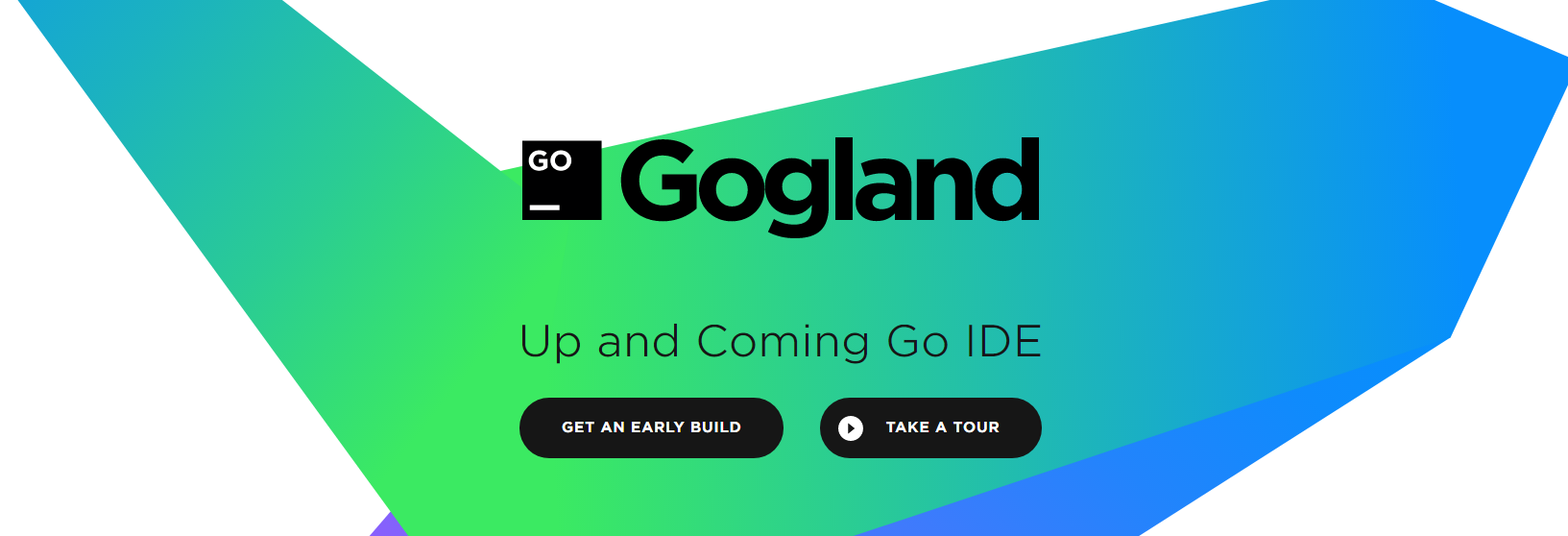 Golang IDE Gogland
