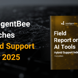Field report on AI Tools